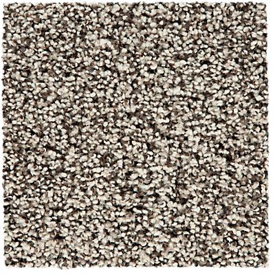 SmartStrand ColorMax Carpet in Whisper