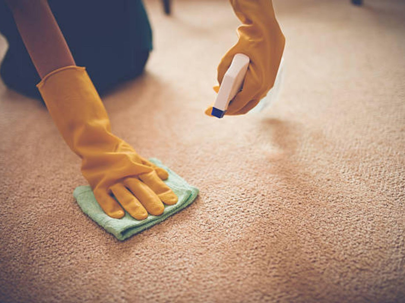 Person cleaning carpet stains